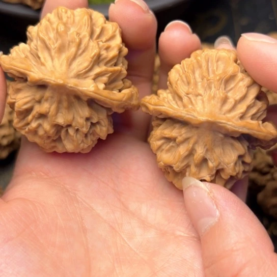 文玩核桃把件秦岭核桃5
