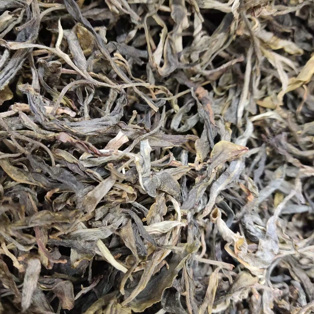 茶房乡古树茶，300年以上树龄，兰花香花蜜香口感
