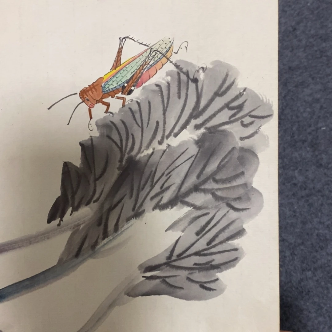 s**s闪购商品闪购商品