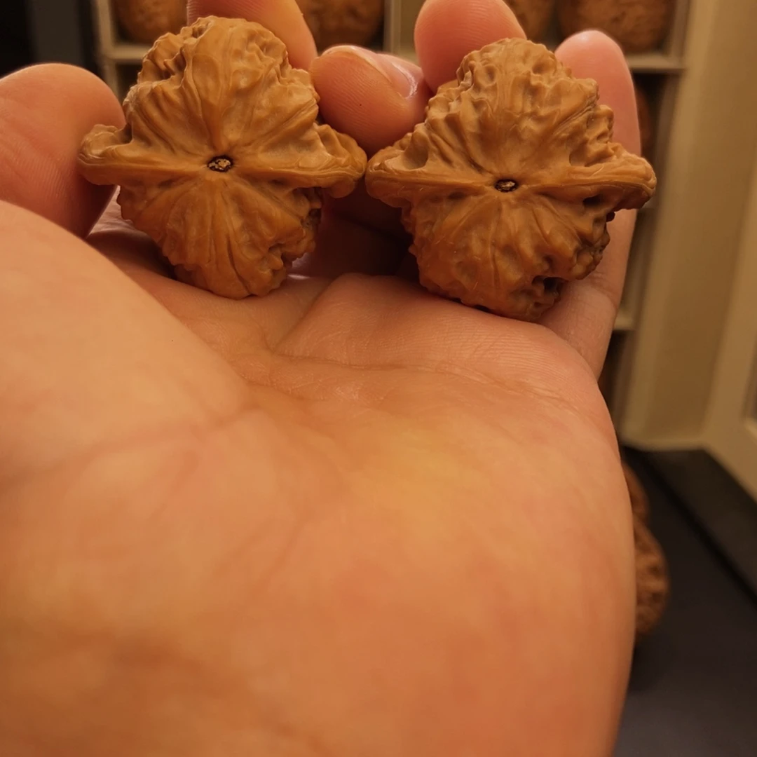 随***缘文玩核桃吊坠野狼37