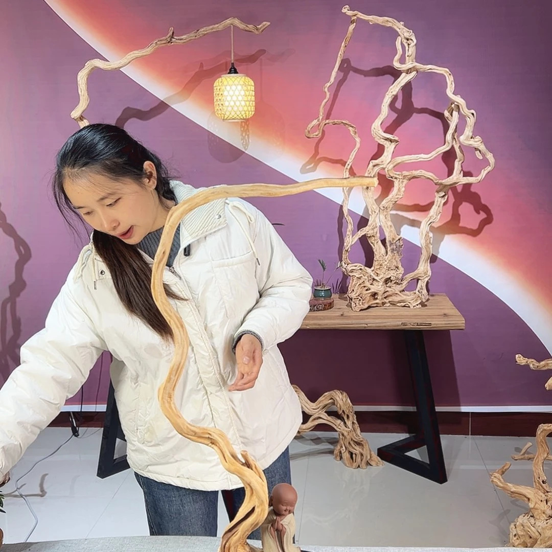 西***涛木天然杜鹃根根艺摆件