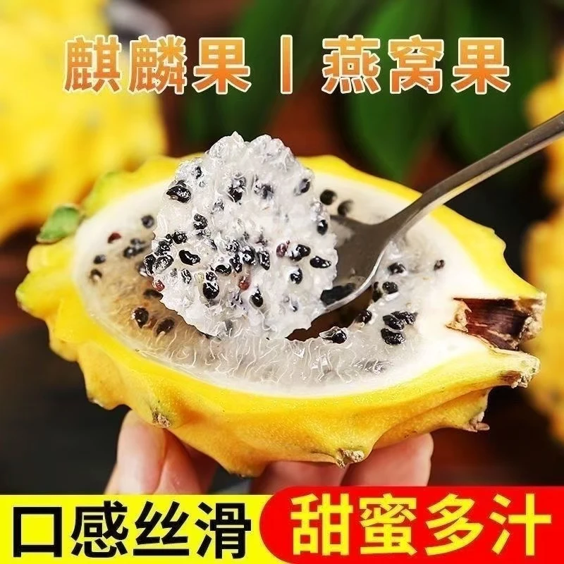 【年货福利】正宗西双版纳燕窝果新鲜水果云南新鲜燕窝果产地直发