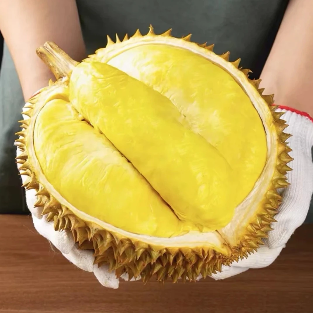 XJ·泰国金枕老树榴莲整个发货软糯香甜生切不售后YP