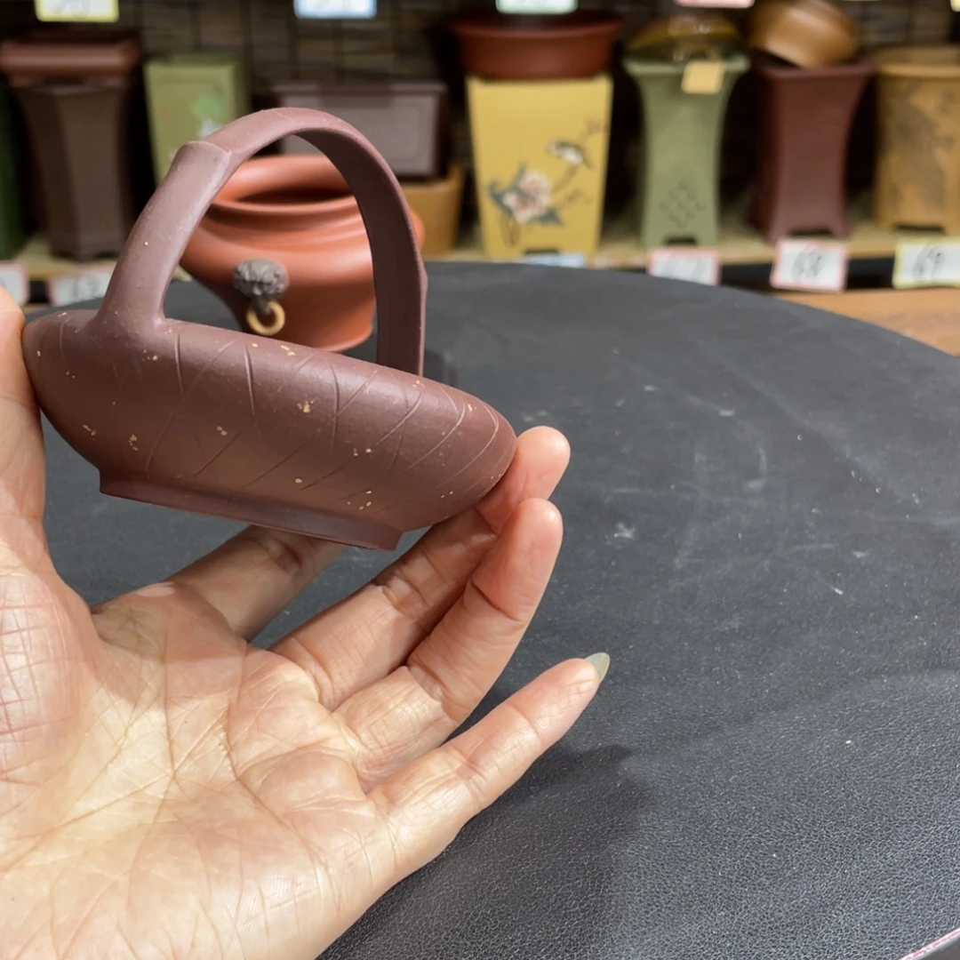 花盆紫砂在干嘛你