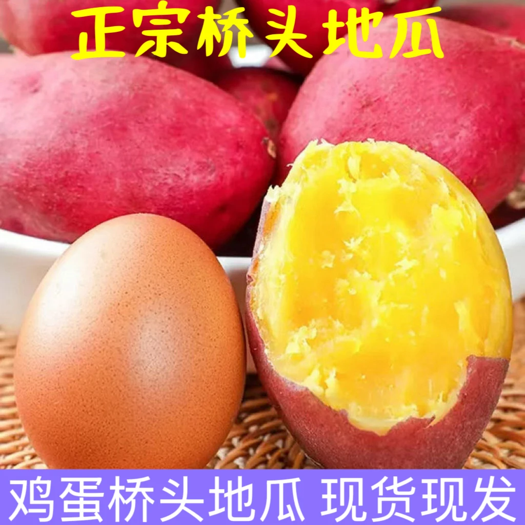 海南桥头地瓜新鲜鸡蛋薯蛋蛋果板栗红薯粉糯香甜粗粮小香薯