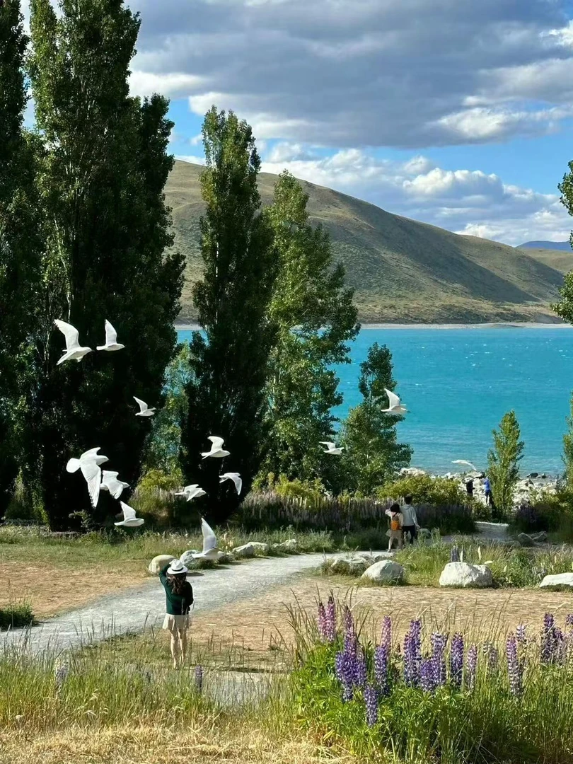 【陈姐专属】焦糖色/石墨灰防晒衣潮流休闲百搭男女同款防晒服-044