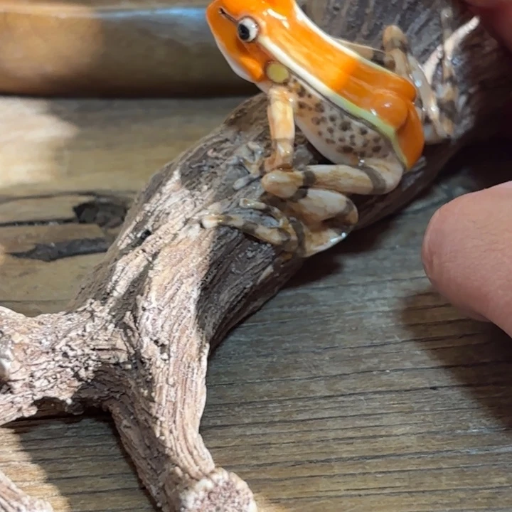 f***q王老师作品欣赏王老师陶艺作品欣赏