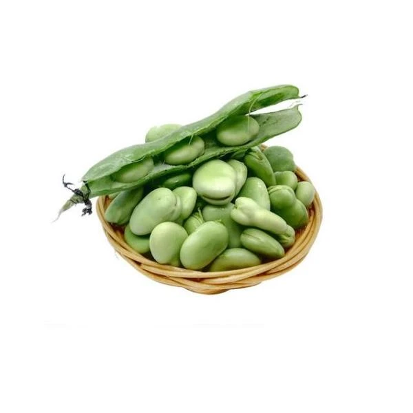 蔬菜 新鲜蚕豆500g