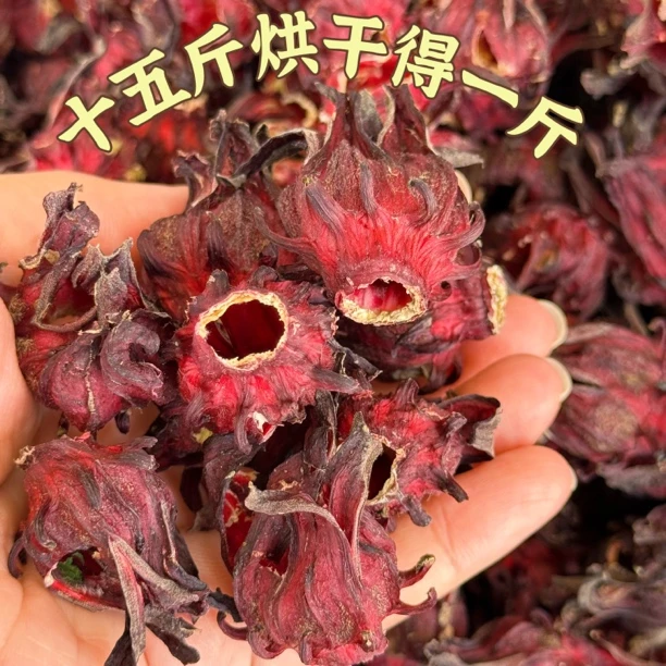 广西新鲜洛神花产地直发泡酒泡茶玫瑰茄红桃k果干含量高