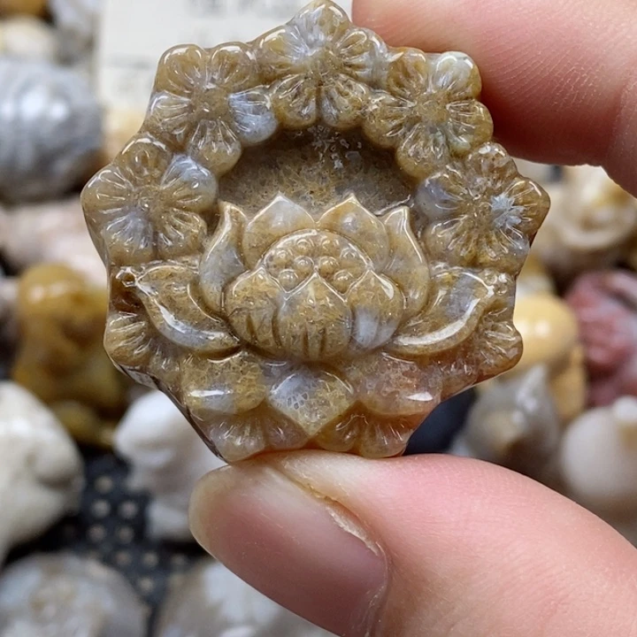 颈饰未镶嵌硅化珊瑚（珊瑚玉）有瑕