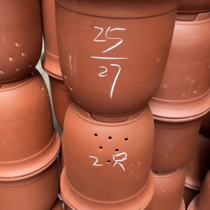 紫砂紫砂紫砂紫砂紫砂