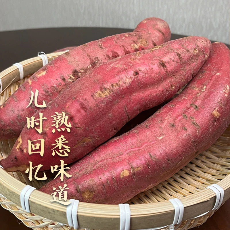 5斤新鲜现挖现发正宗沙地西瓜红蜜薯软糯香甜沙地番薯