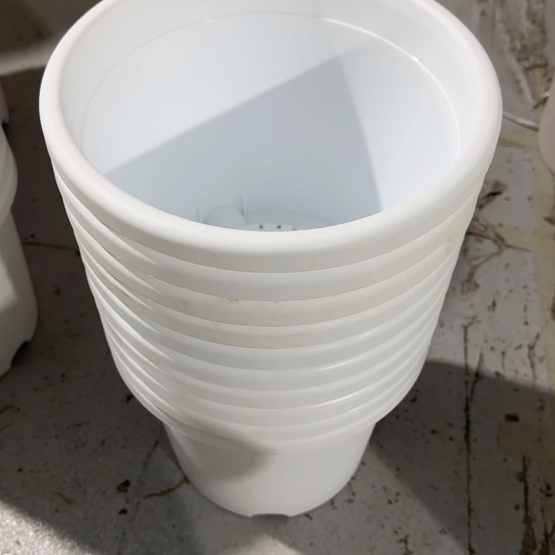 美***编号2933，5号无托