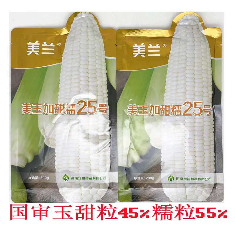 美玉加甜糯25号白甜糯玉米种籽绿皮大棒甜糯白粘糯玉米种子200克
