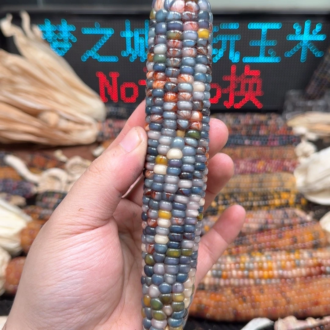 柏香籽/百香籽吊坠用****3