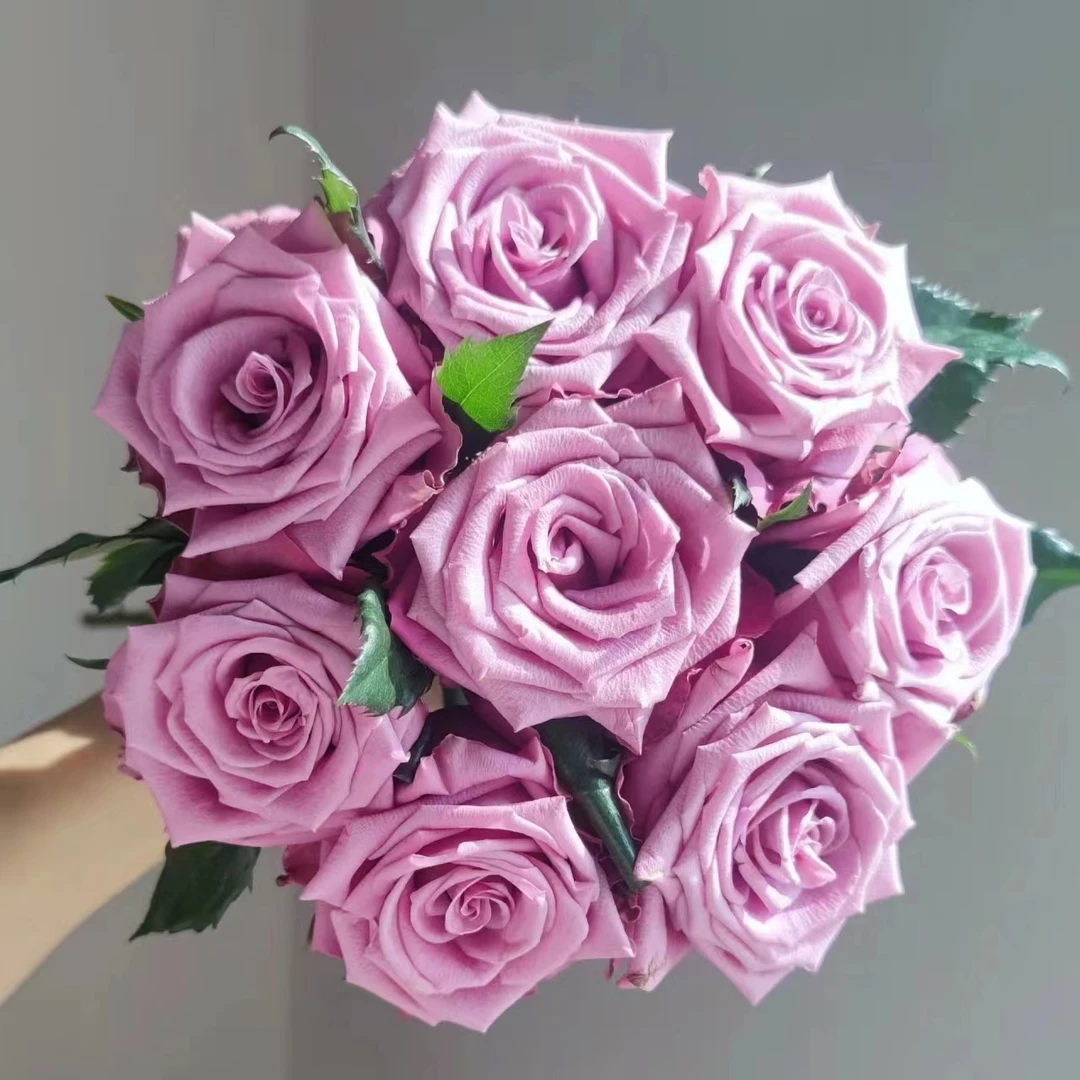 20枝嫣然单头玫瑰  2单送配草3单送花瓶