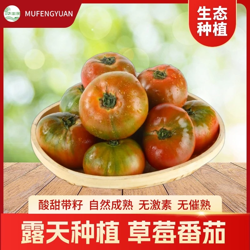 【生态种植】农场直发翻沙带籽皮薄西红柿番茄