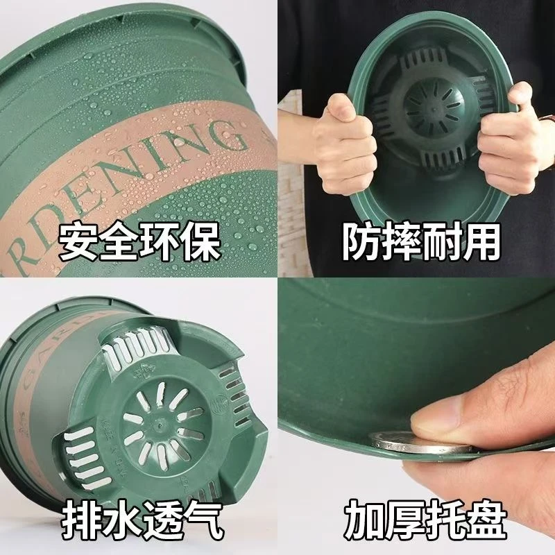 草莓苗专用加仑盆1.5加仑宽敞透气