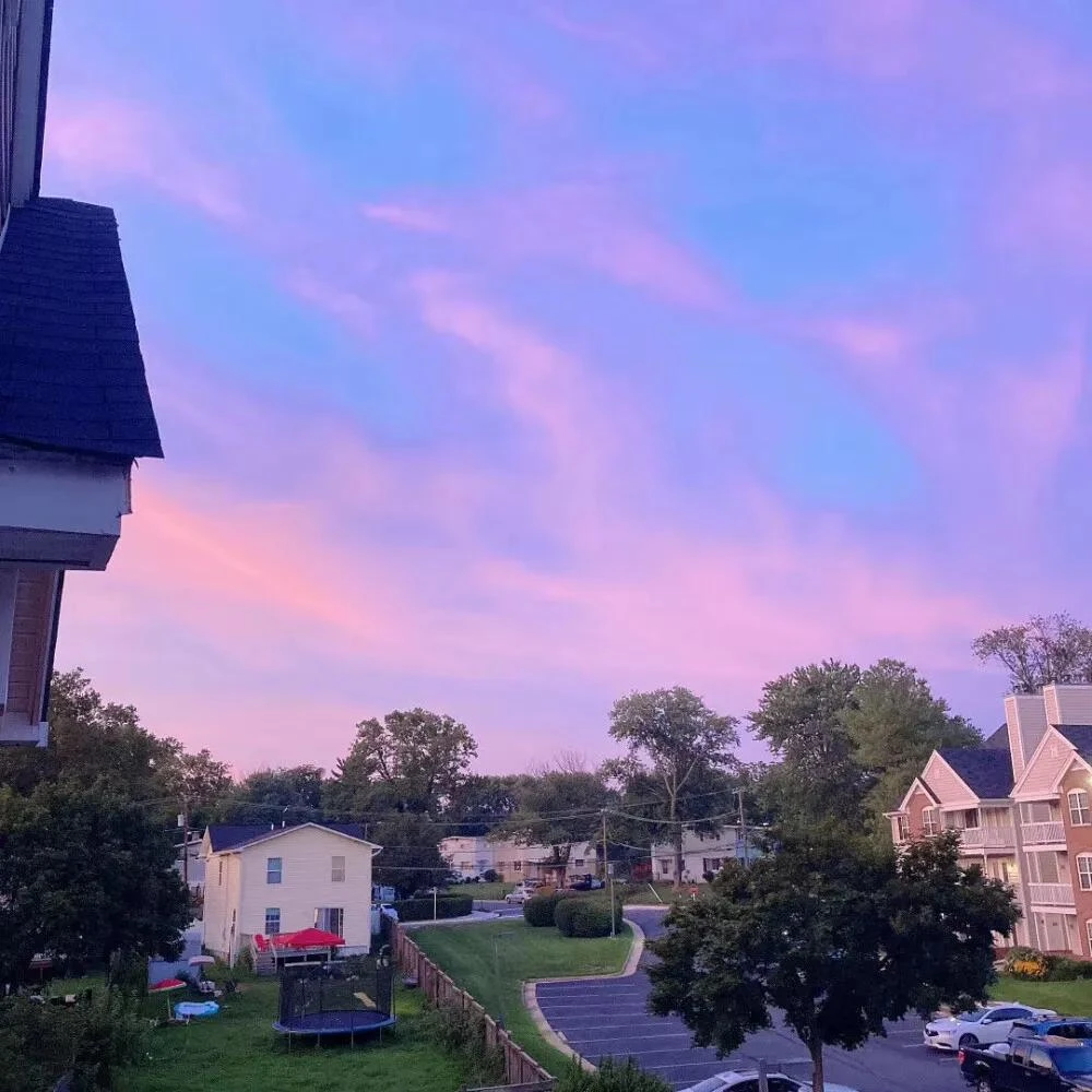 2025潮流高级真皮女包037