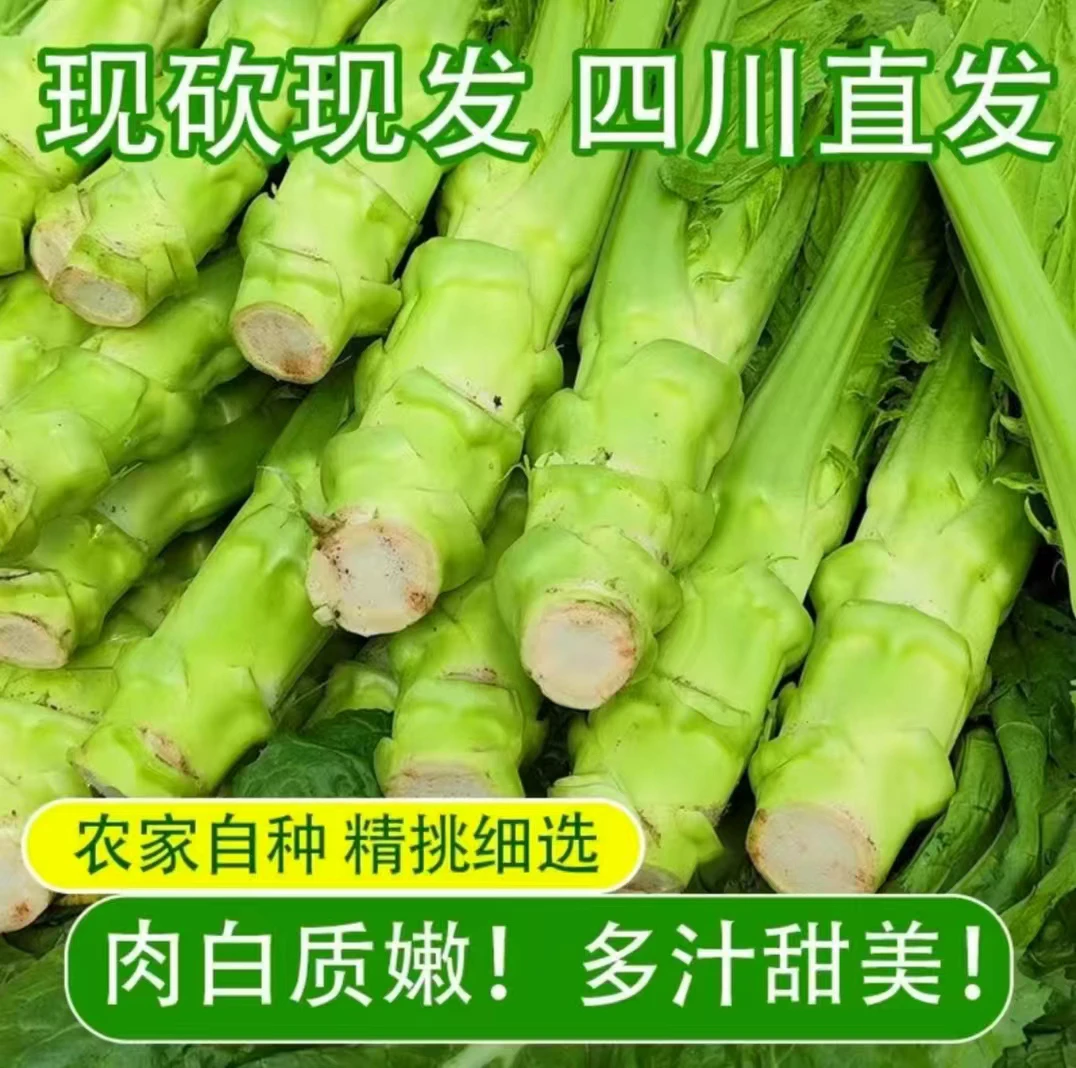 四川棒菜+青菜头新鲜先砍现发组合链接