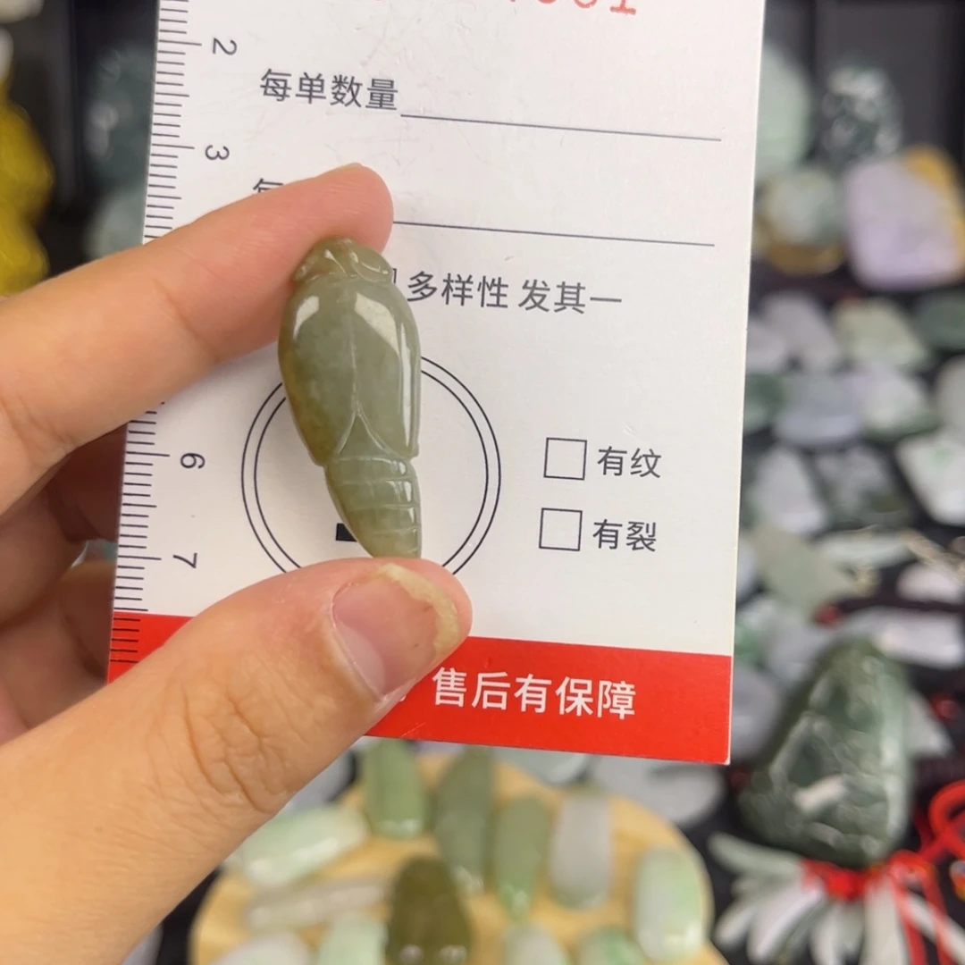 翡翠未镶嵌吊坠(赠链)