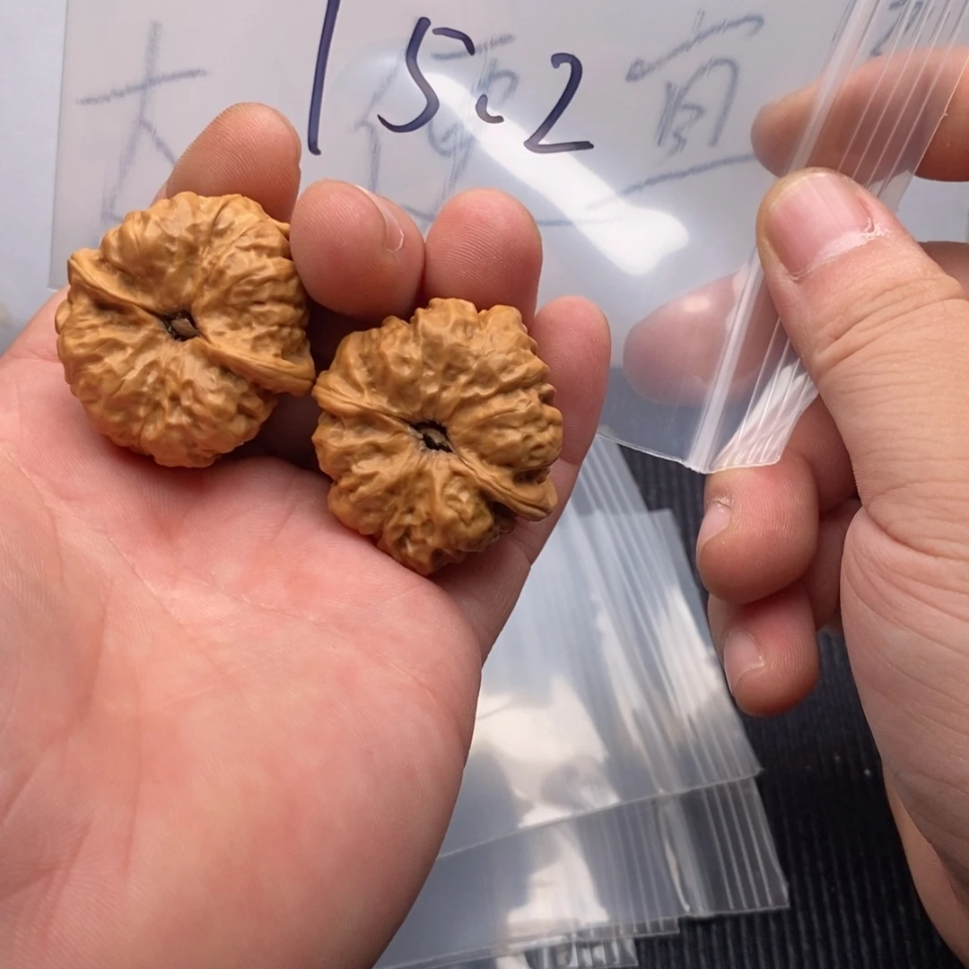 核桃哈哈哈哈哈哈哈哈