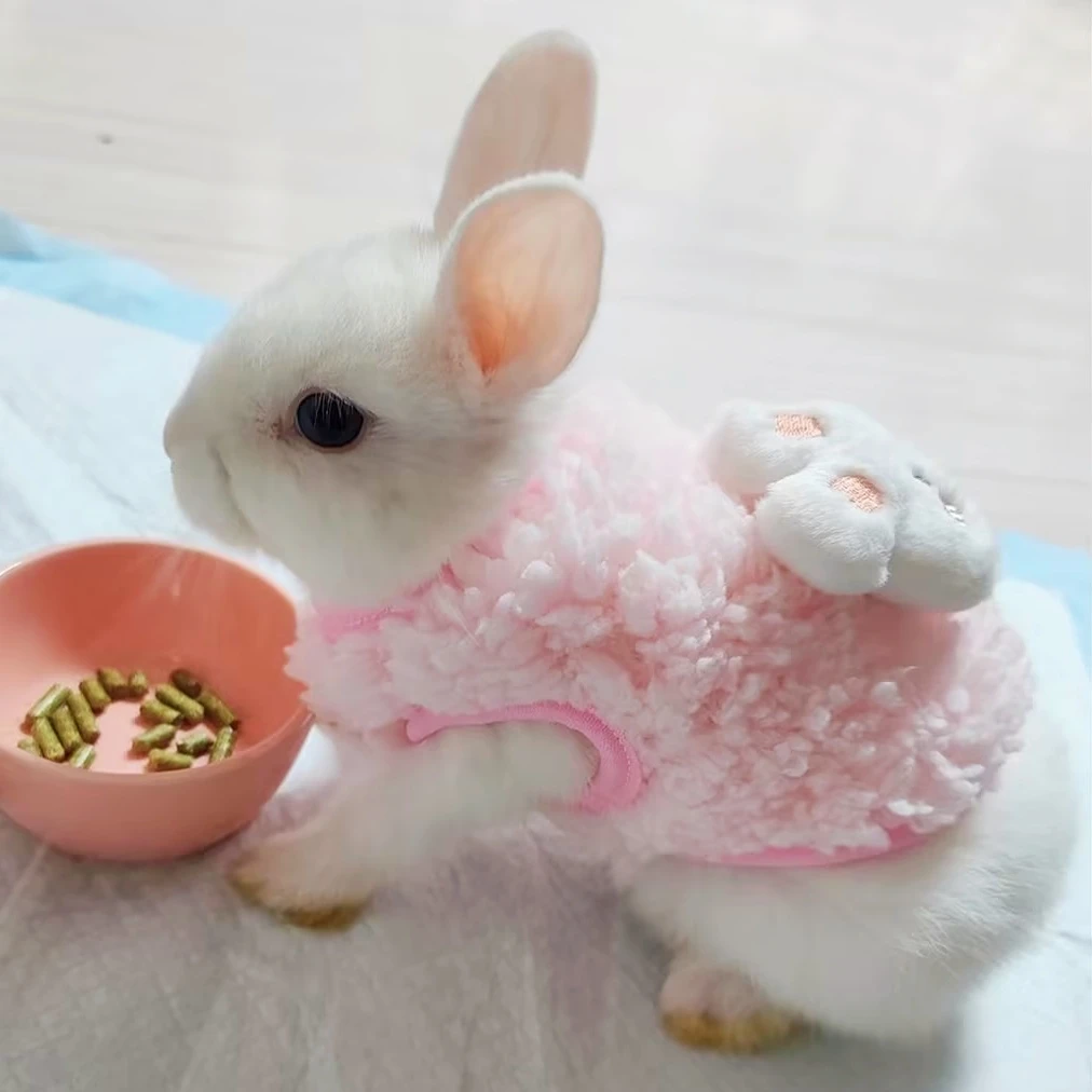 兔子衣服兔兔侏儒兔超小码宠物兔专用小衣服秋冬新款保暖可爱舒适