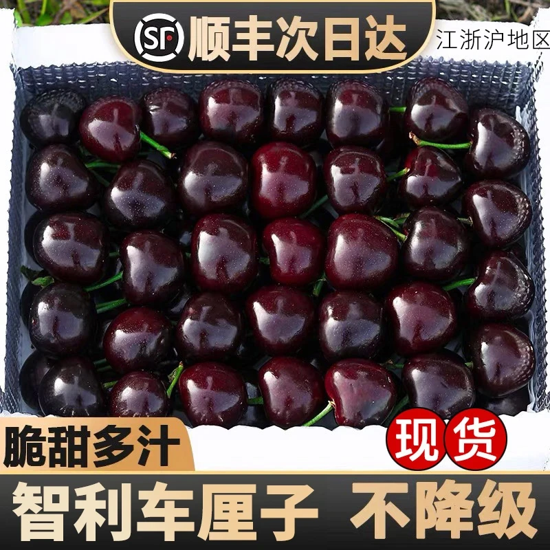 3J果王【5斤原箱】智利车厘子新鲜水果海运进口大樱桃内附果径卡