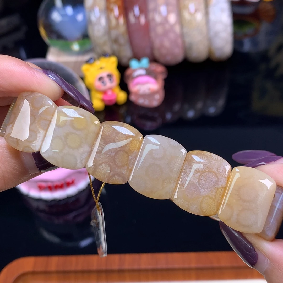 【闪购商品】颈饰未镶嵌硅化珊瑚（珊瑚玉）福利200漏128（6号）