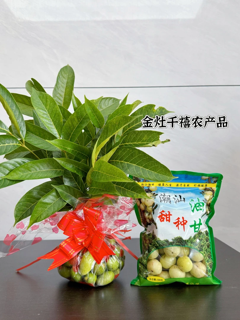 【中秋赏月】一束青枣脆橄榄+一斤油柑，叶子及时放冰箱保鲜