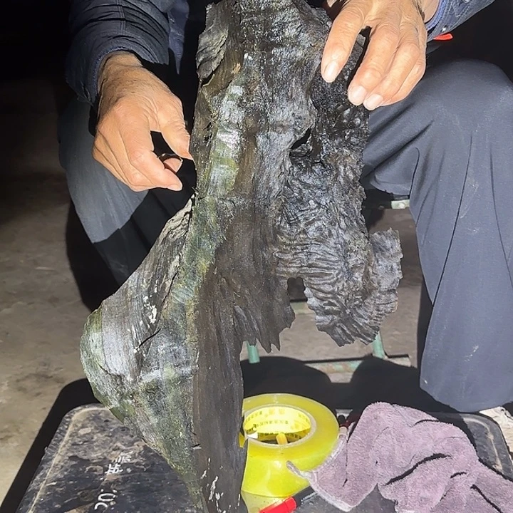 只***涯金丝楠木原料摆件