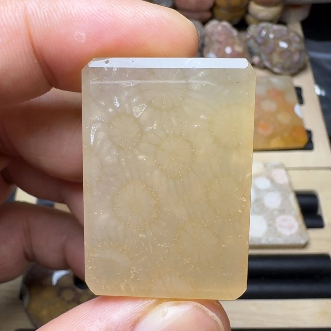 硅化珊瑚（珊瑚玉）未镶嵌纯天然色有机玉石保真色