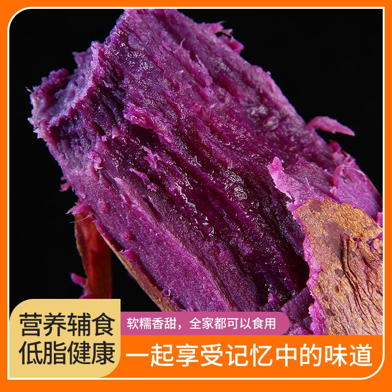 【黑美人紫薯】山东农家沙地自种当季软糯香甜坏果包赔2斤/5斤/10斤