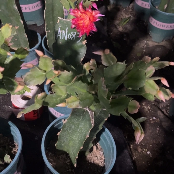 禹***69号038，111111111111