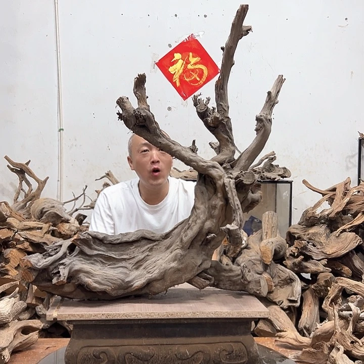 柏木潇***下我们的生活也是如此的丰富多彩