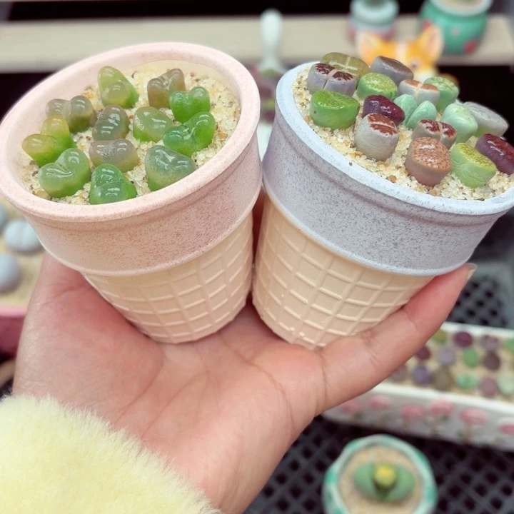 7025零下地区记得拍保温箱箱