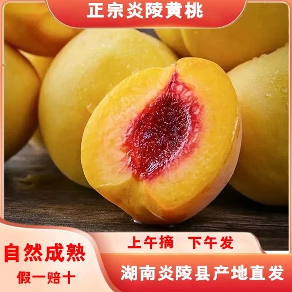 【正宗炎陵锦绣黄桃】脆甜红心黄桃香甜多汁现摘现发10斤礼盒装