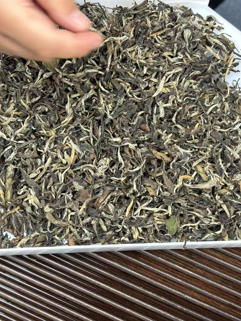 2008年福鼎磻溪金芽老牡丹白茶散茶