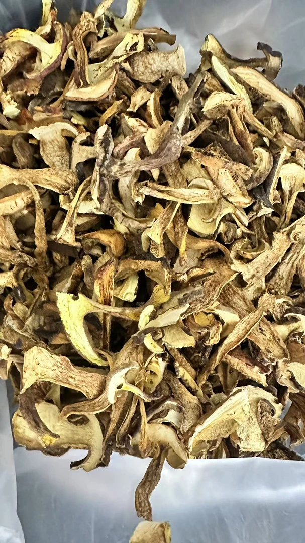 云南本地野生牛肝菌