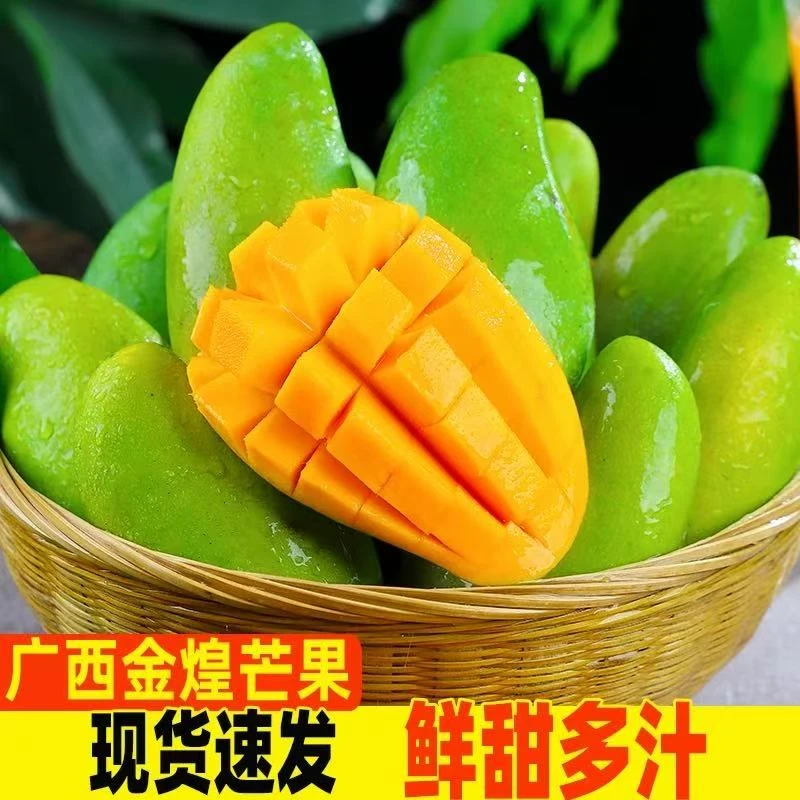 【新鲜现摘】广西百色金煌芒新鲜水果青皮甜心芒果鲜甜多汁 放软吃S