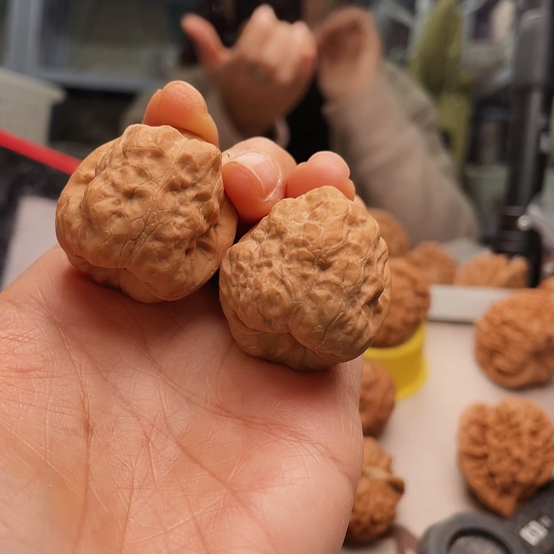 古蟾池在水内出现38.8