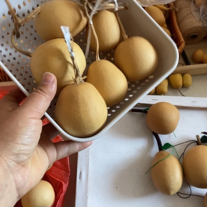 想***箱大象大象大象大象