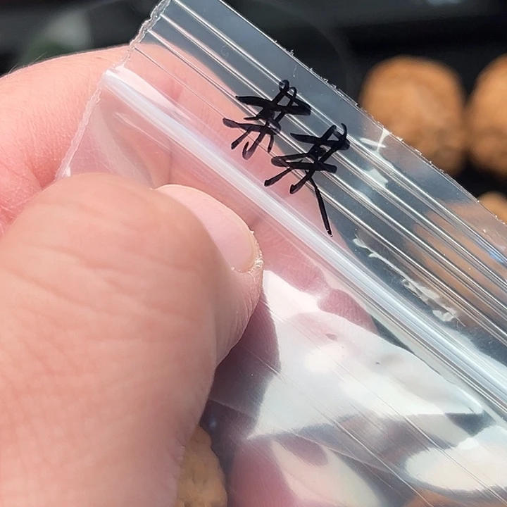 我***某把件文玩核桃山一代原生态佛肚