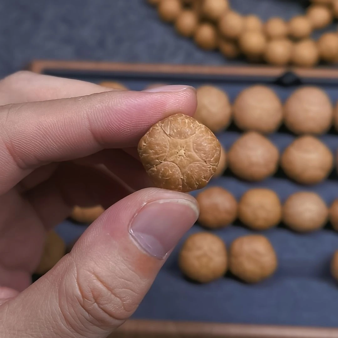 手串凤眼菩提19.8五星上将
