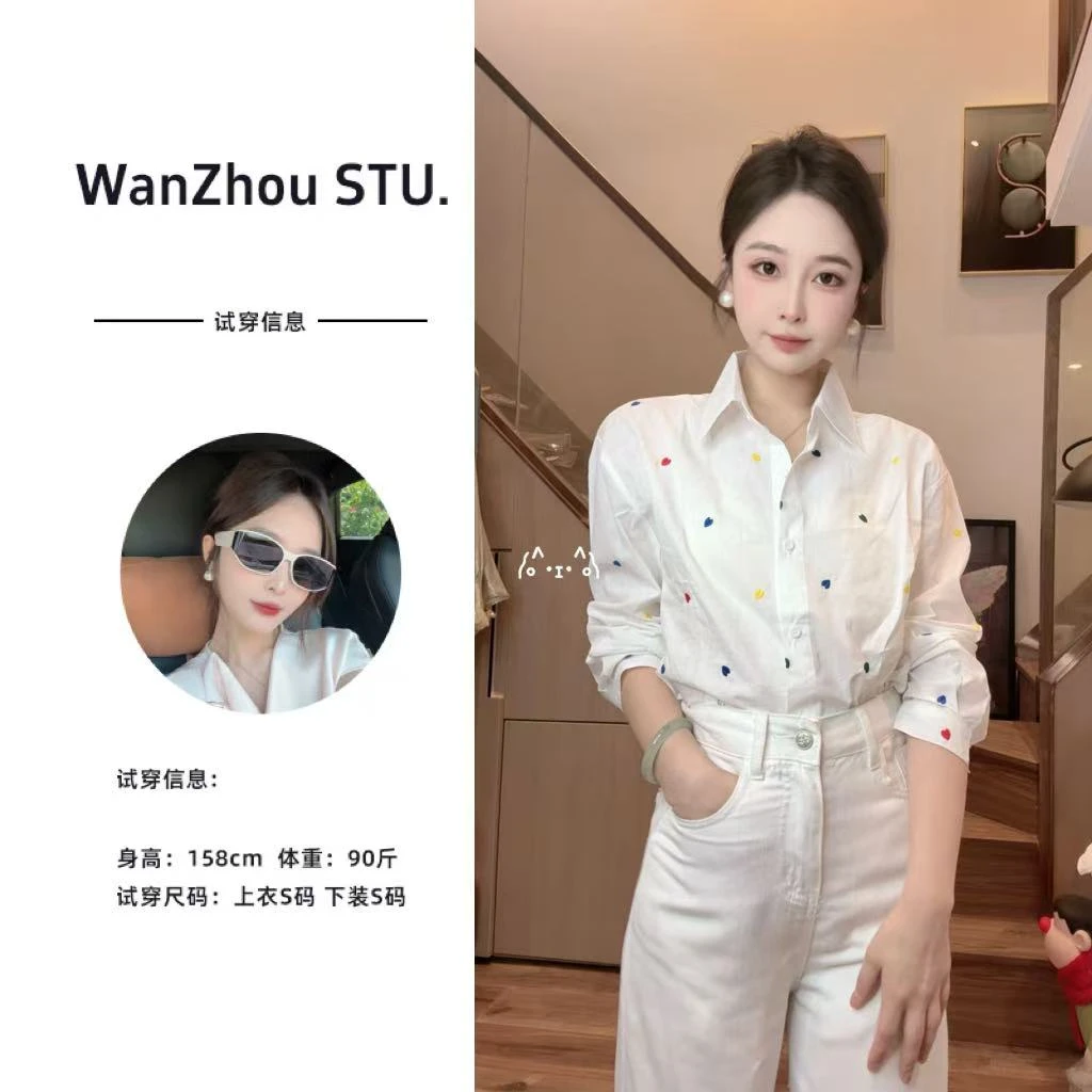 【晚舟zz】2025年新款设计感刺绣中长款衬衫女装慵懒风欧货时尚衬衣