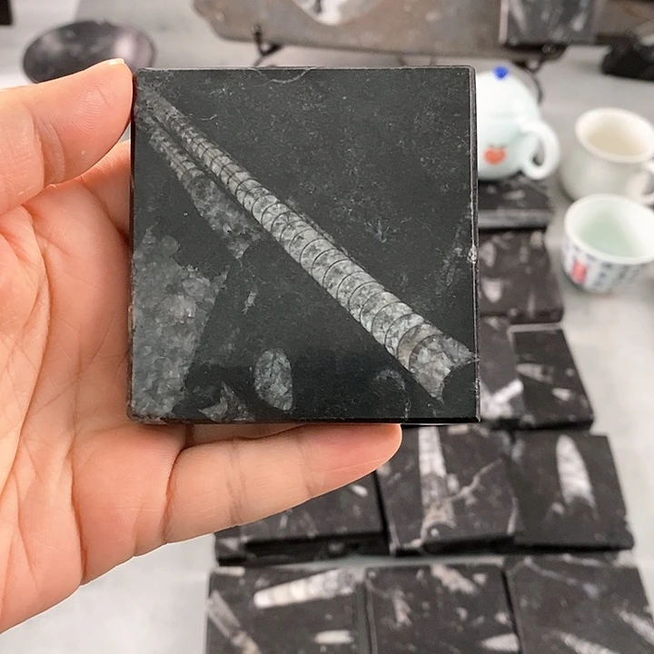 ꧁***꧂海螺杯垫手把件装饰