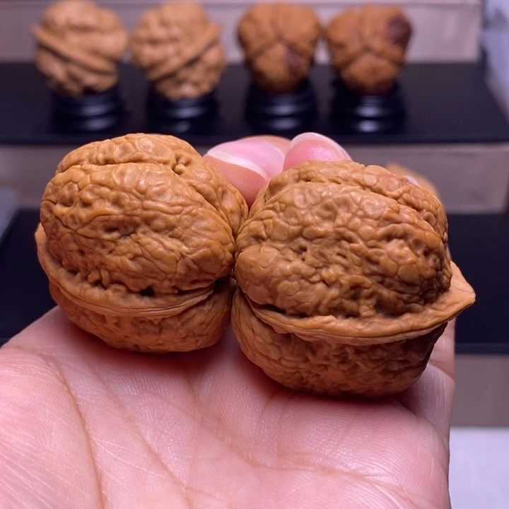 文玩核桃把件琥珀金蟾26