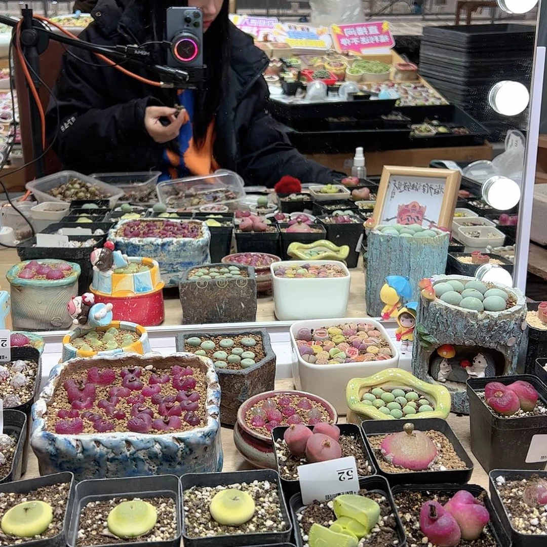 【闪购商品】毛**?109 打包