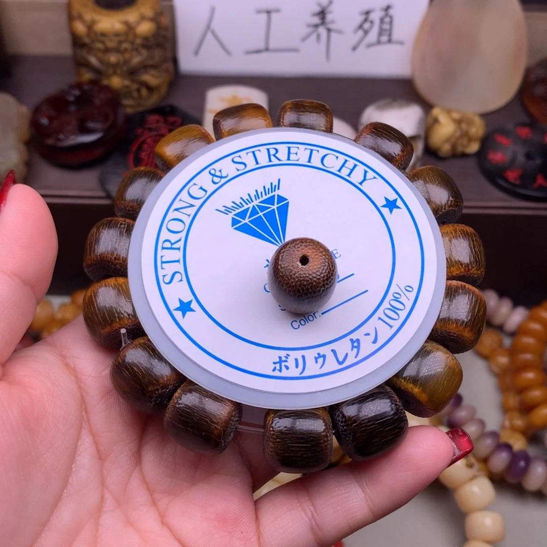 驼骨其他好看牛角