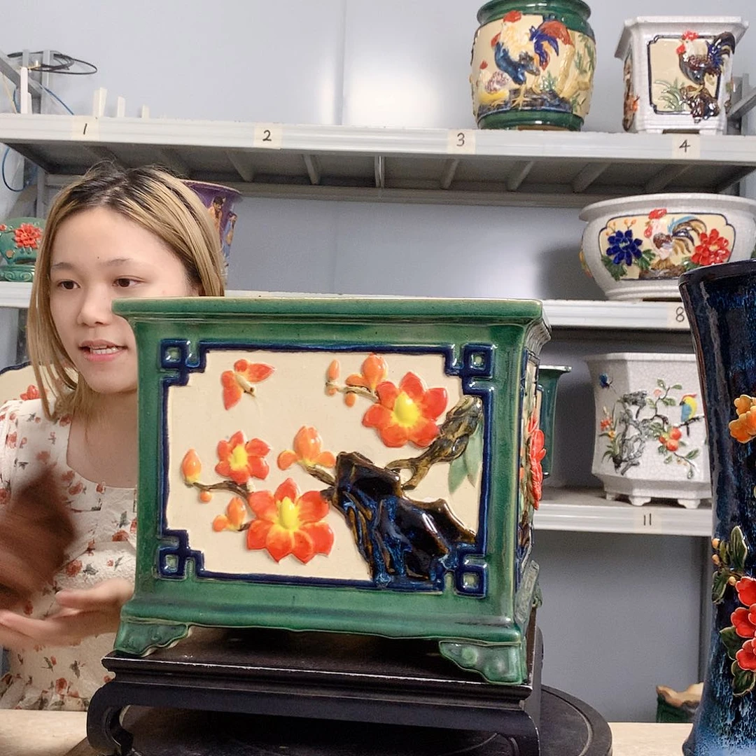 老****菜实物拍摄湾盆石湾